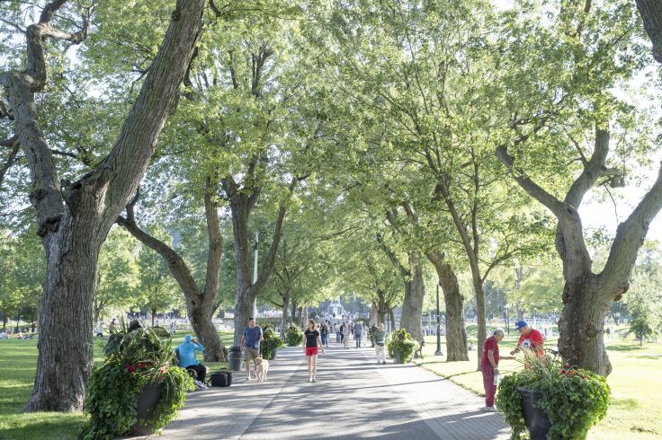 Parc du Mont-Royal - Montréal - Québec - Canada