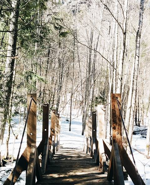 Laurentides - Québec - Canada