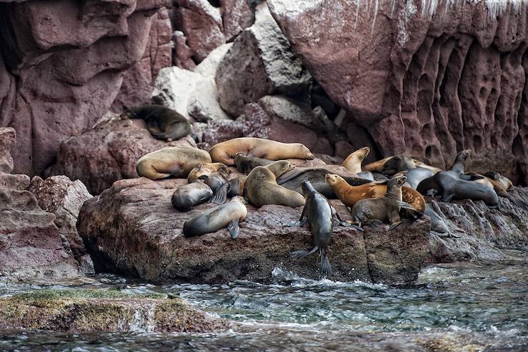 Galapagos - Equateur