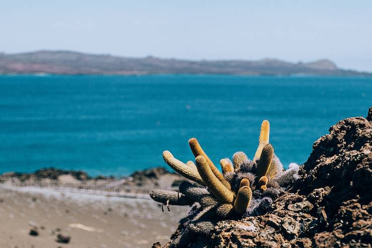 Galapagos - Equateur