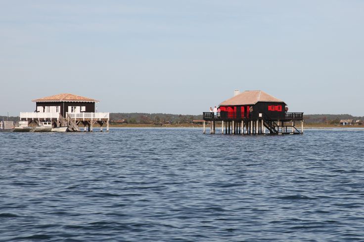 Bassin d'Arcachon - France