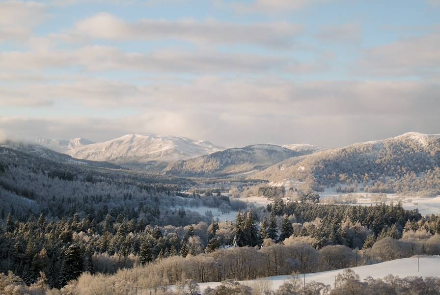 Cairngorms National Park - Highlands - Ecosse