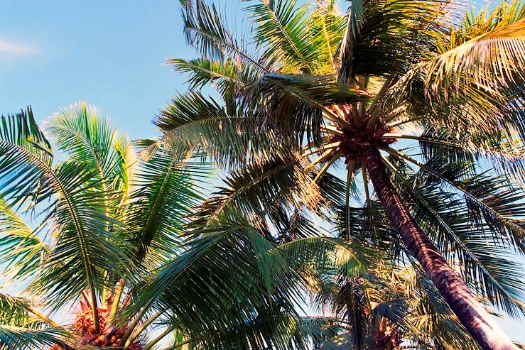 Guadeloupe
