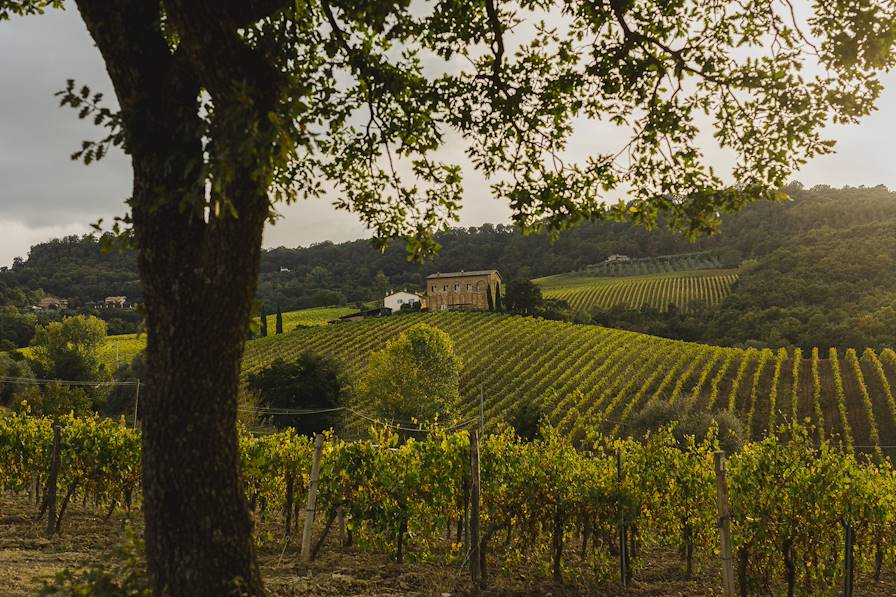 Orvieto - Italie © Droits réservés