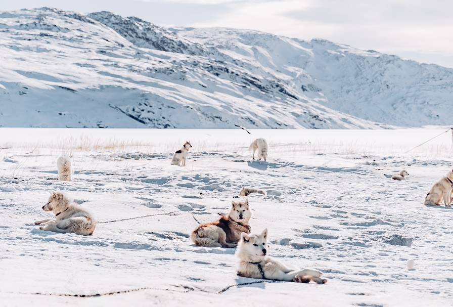 Région de Kirkenes - Norvège