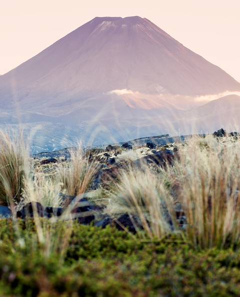 Mont Ruapehu - Parc national de Tongariro - Nouvelle-Zélande