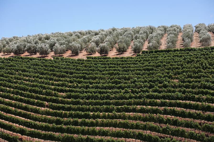 Route des Vins - Afrique du Sud