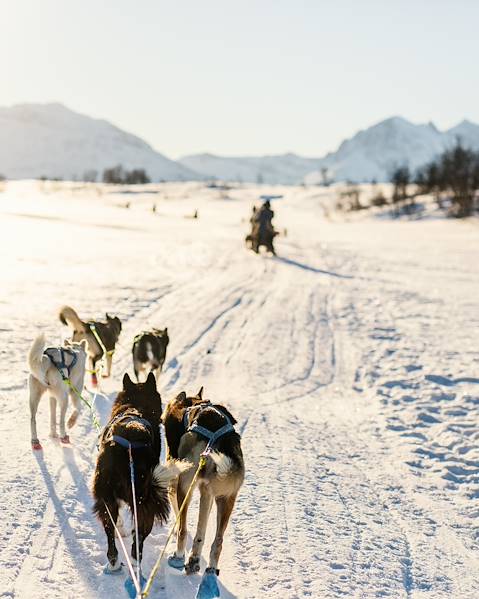 Voyages itinérants Finlande - Suède - Laponie