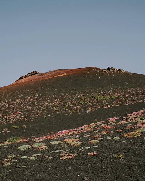 Voyages itinérants Italie - Ischia - Naples - Stromboli - Catane