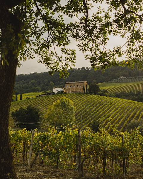 Voyages itinérants Italie - Pérouse - Orvieto - Val d'Orcia