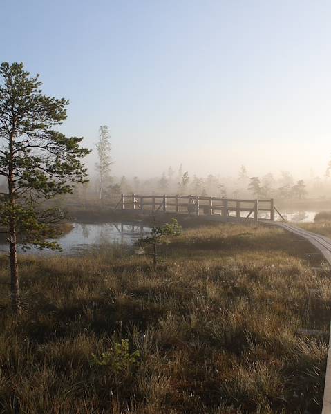 Séjours Lettonie - Riga - Cesis - Jurmala - Parc national de Gauja