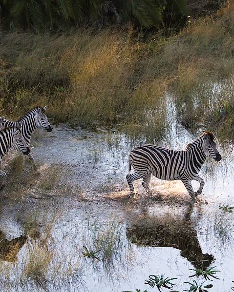 Voyages itinérants Namibie - Etosha - Kavango - Chobe - Chutes Victoria