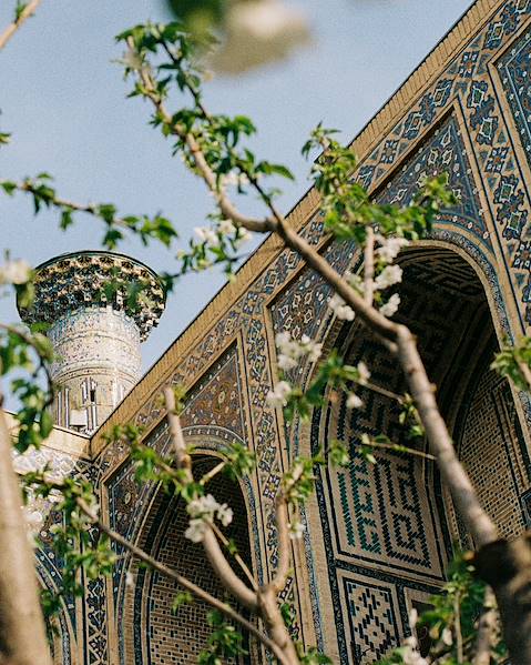 Voyages itinérants Ouzbékistan - Samarcande - Boukhara - Turquie - Istanbul