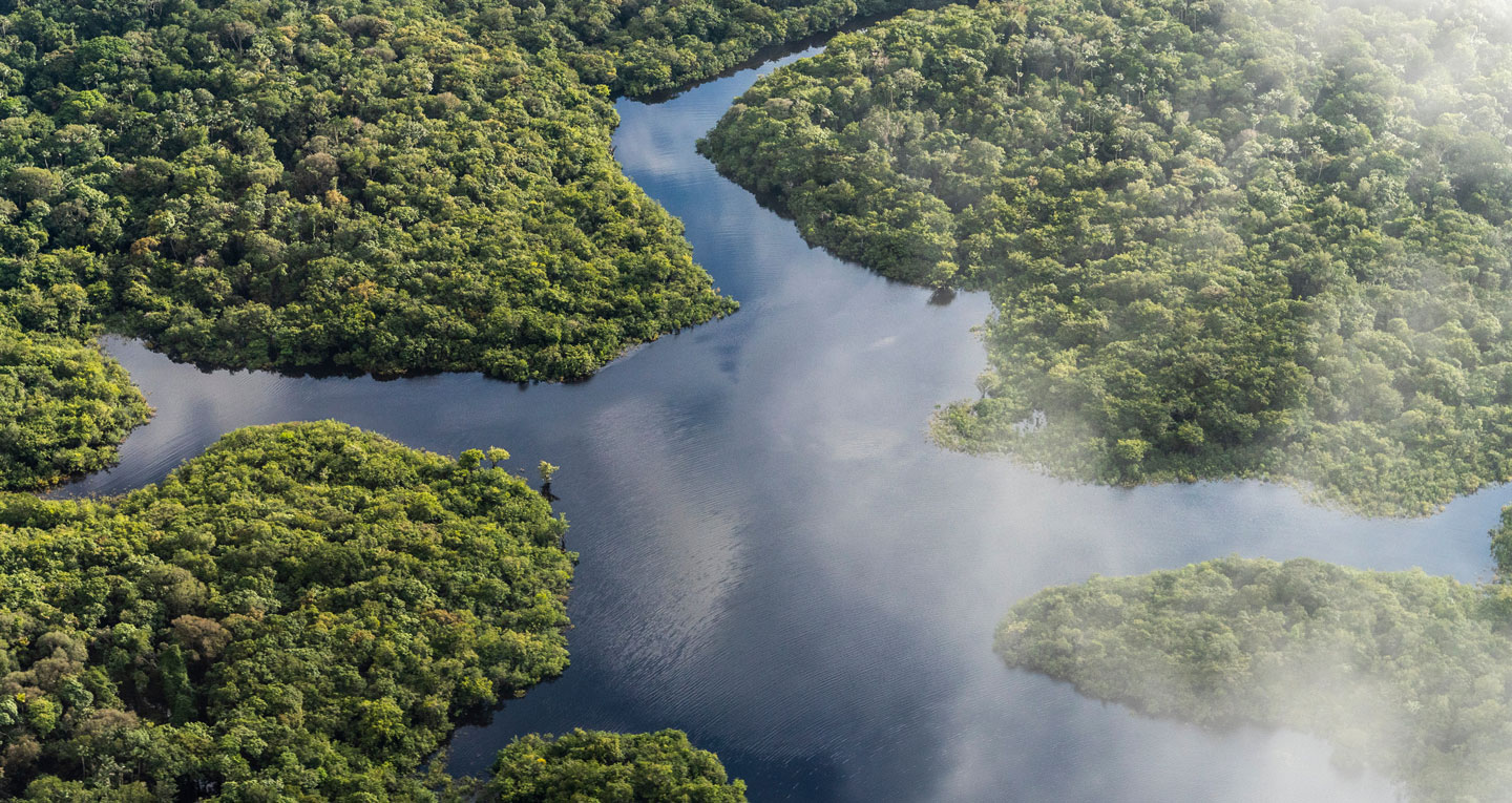 Voyage  Amazonie Brésilienne