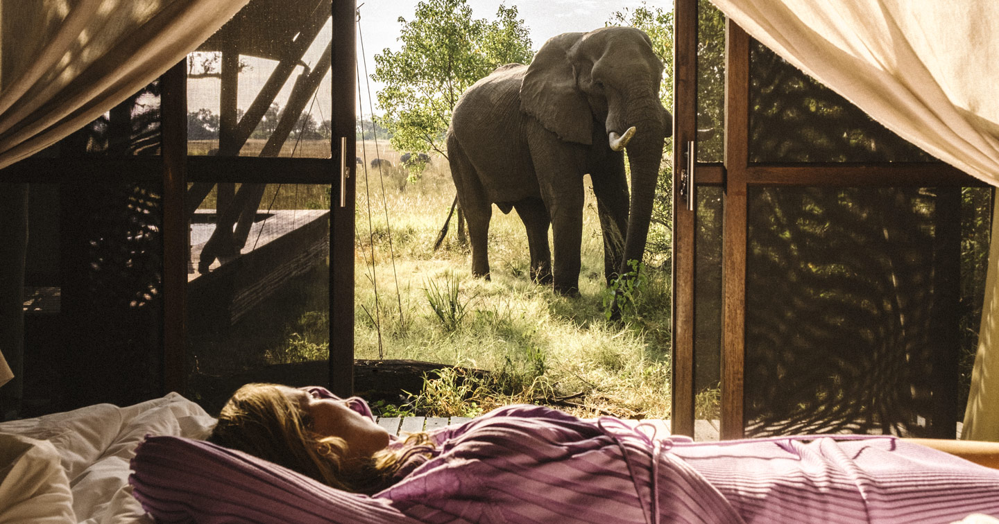 Safari Botswana