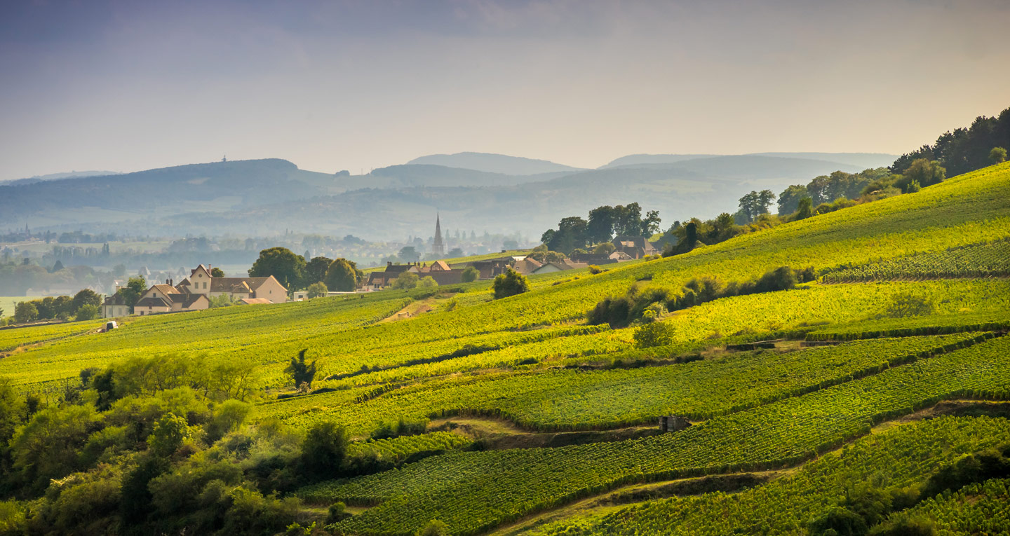 Voyage  Bourgogne