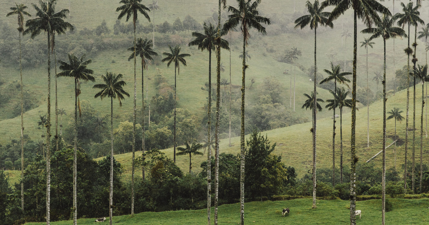 Les grands voyages à deux Colombie