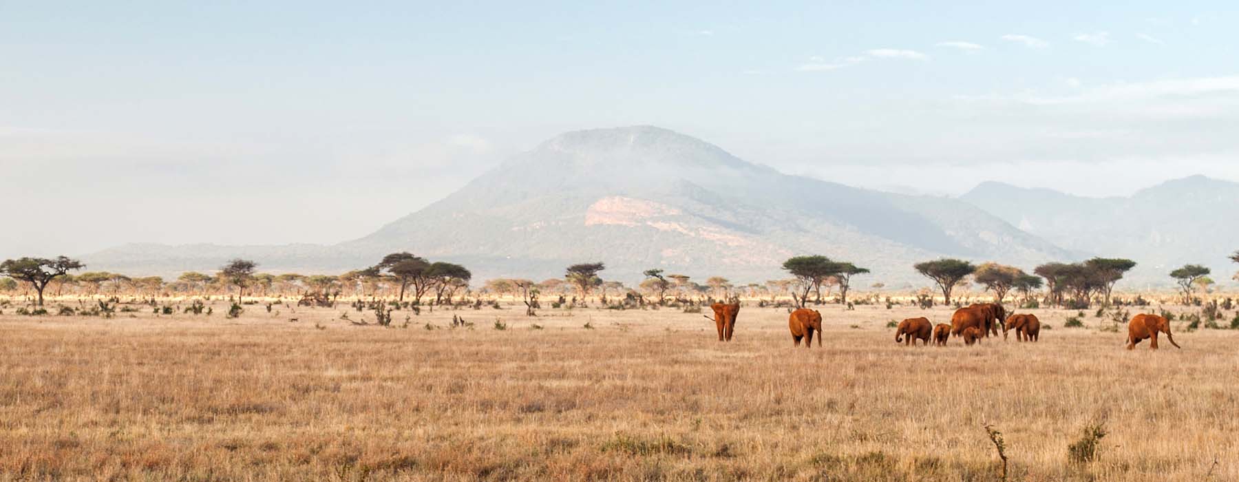 Sous le soleil exactement Kenya