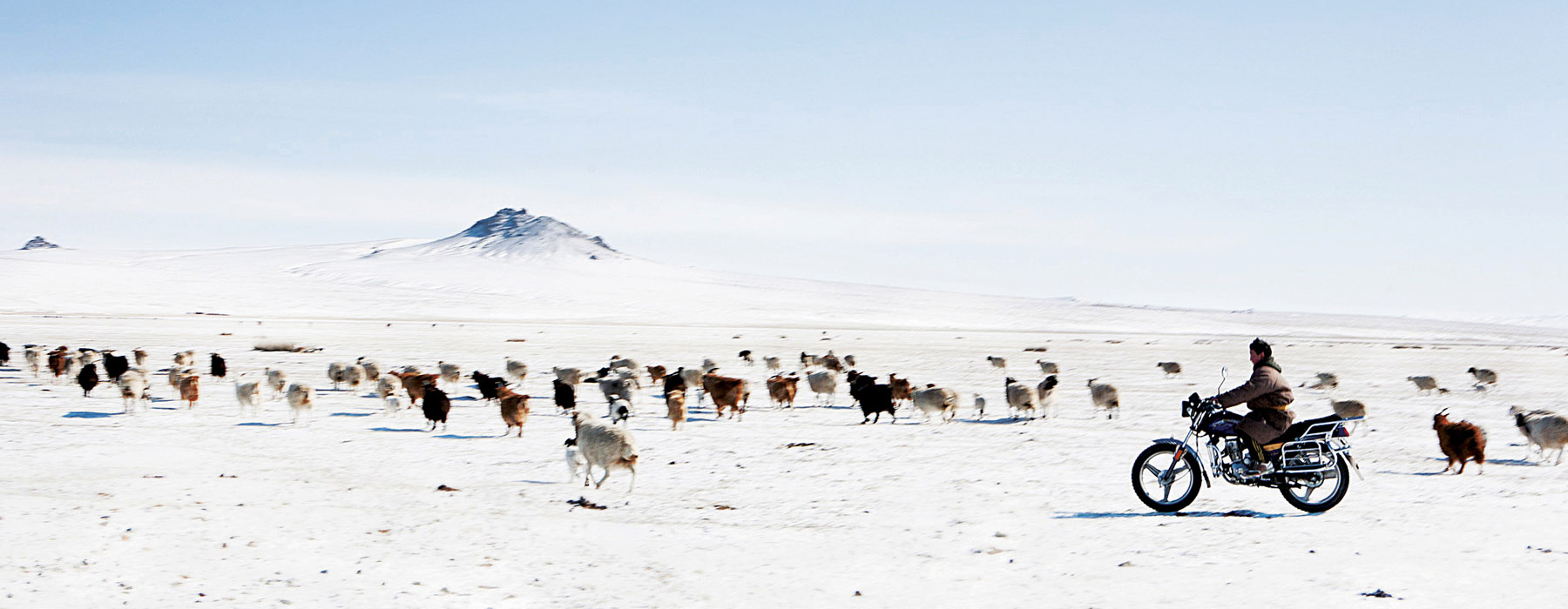 Voyager en train Mongolie