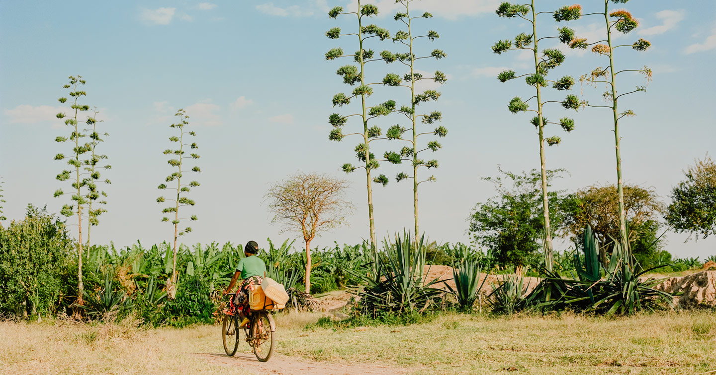 Se mettre au vert Rwanda