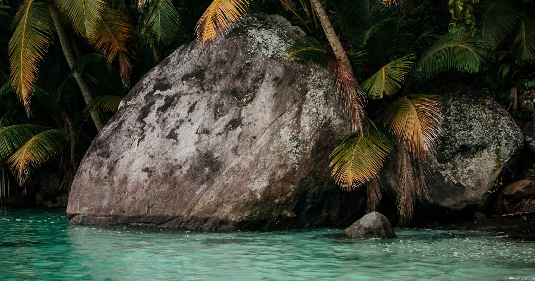 Pieds dans l'eau Seychelles