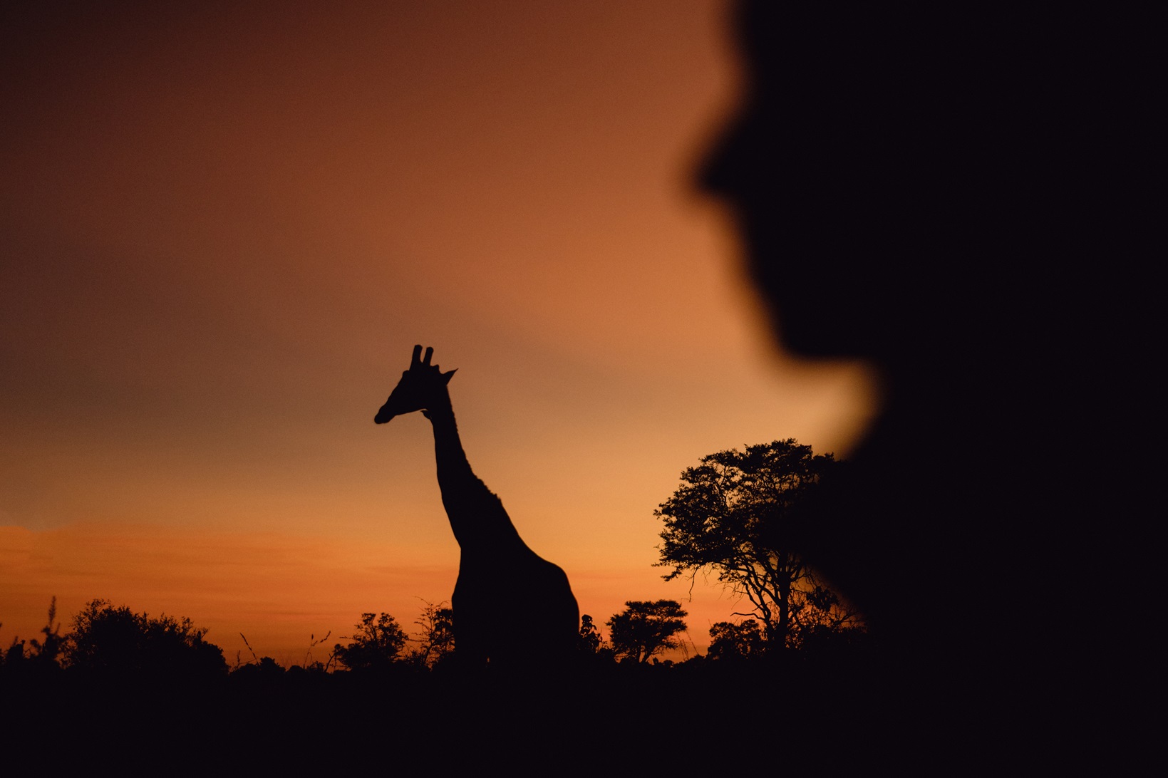 Grands espaces Tanzanie