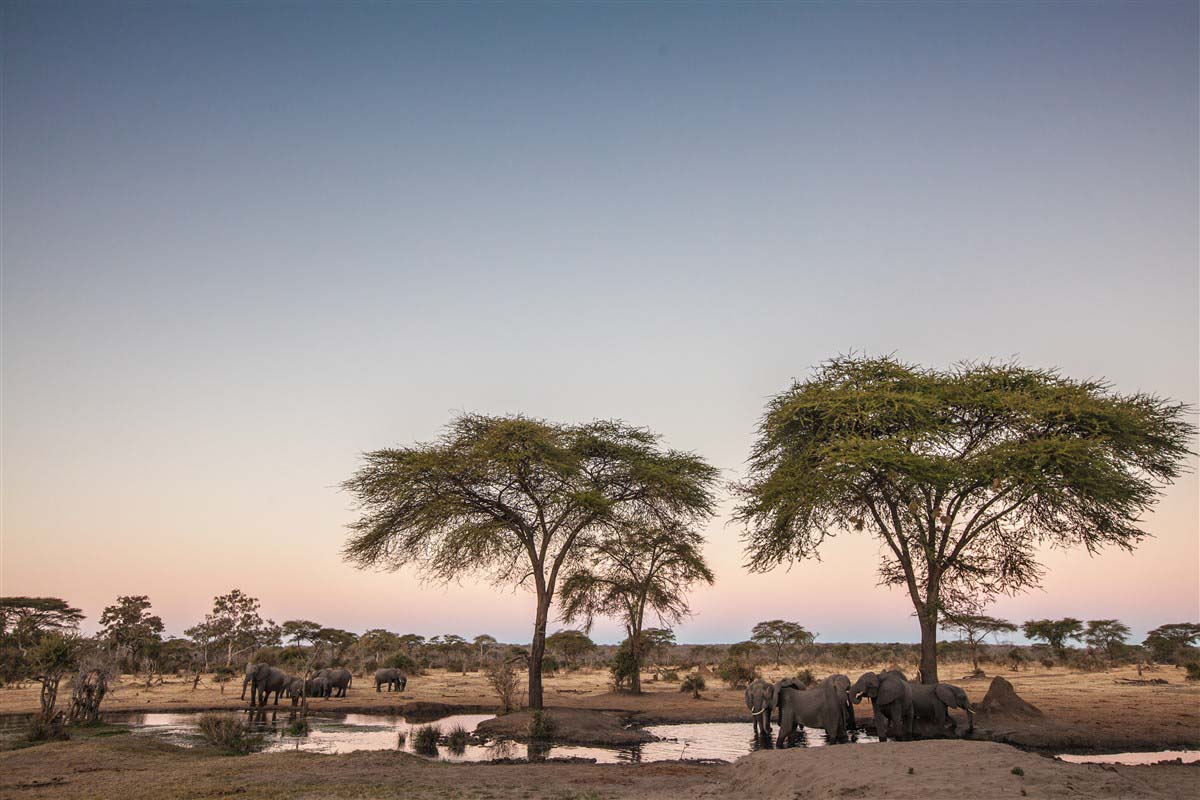 Game reserve