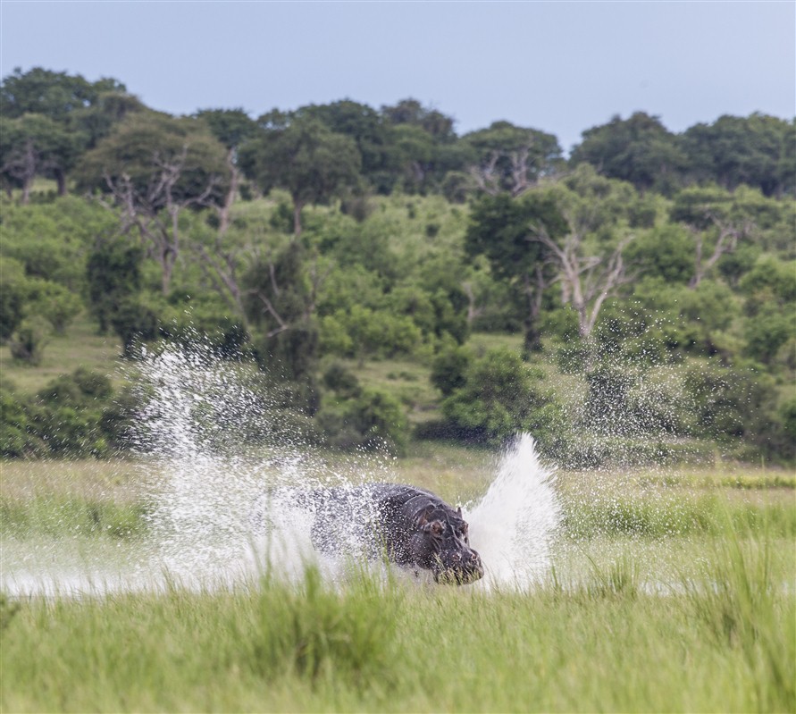 Parc National de Chobe