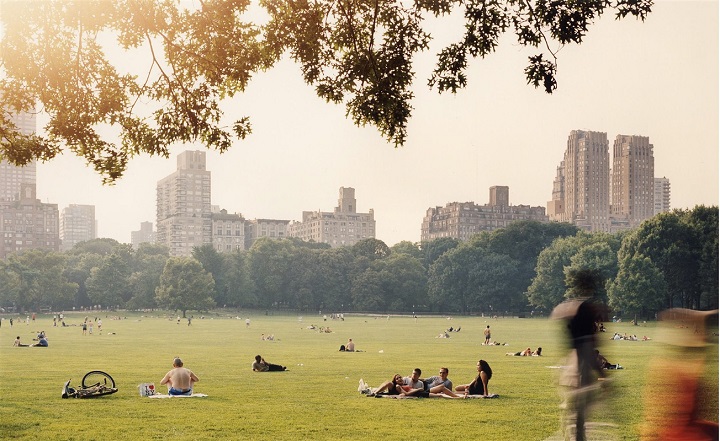 Central Park à Manhattan