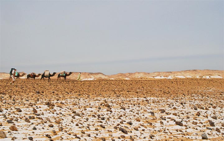 Désert blanc en Egypte