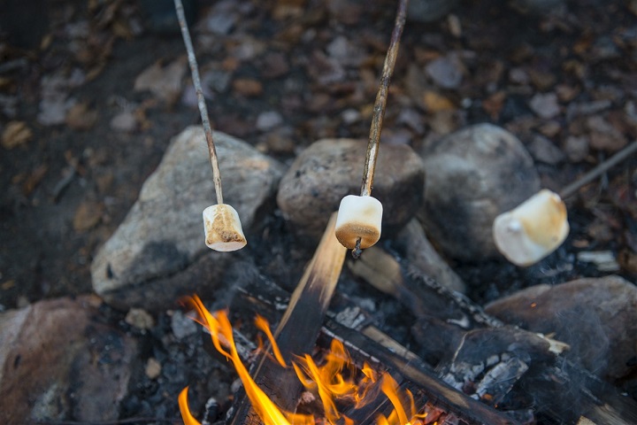 Guimauve au feu de bois