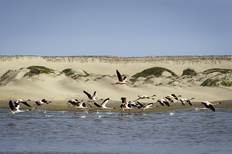 Hoanib River