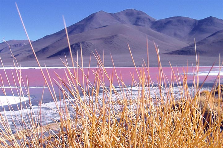 Laguna colorada