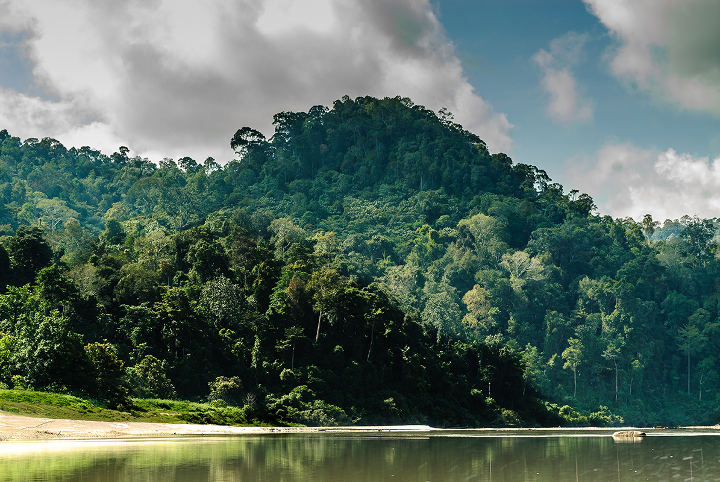 Parc national de Taman Negara