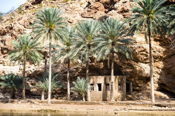 Vue du Wadi Shab