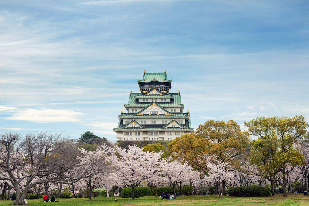 Cerisiers en fleurs à Osaka