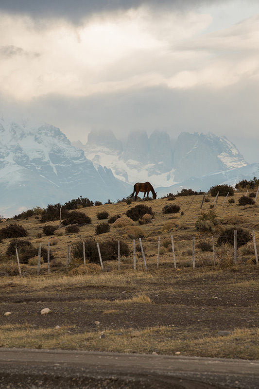 Patagonie chilienne