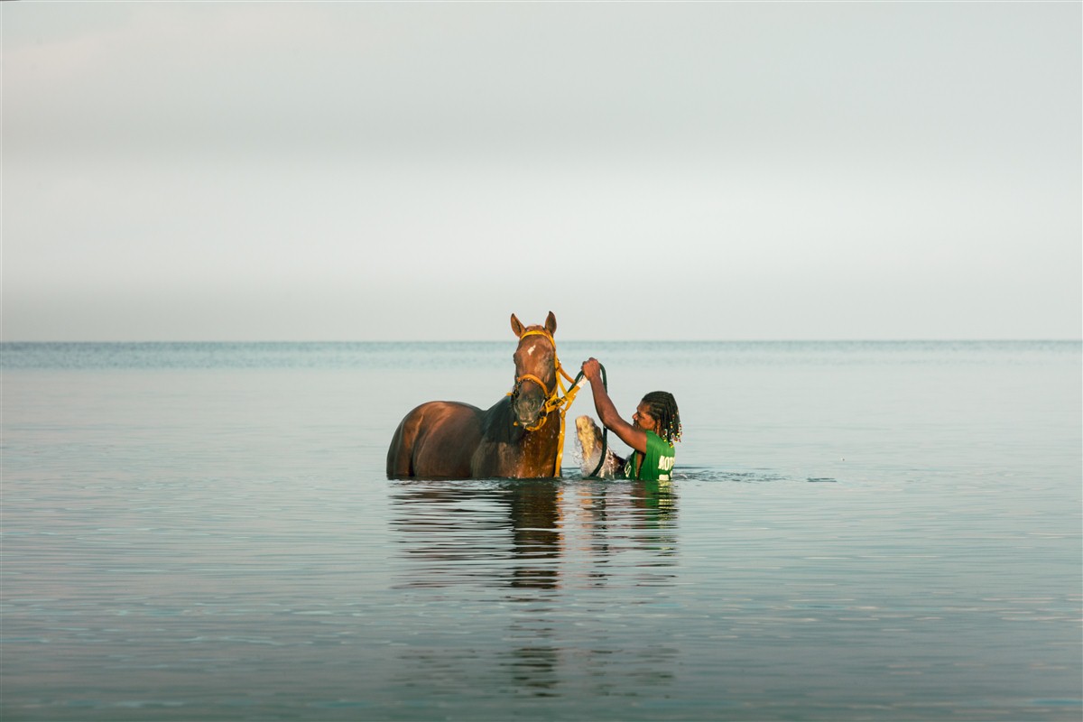 Cheval dans l'eau de Colombie