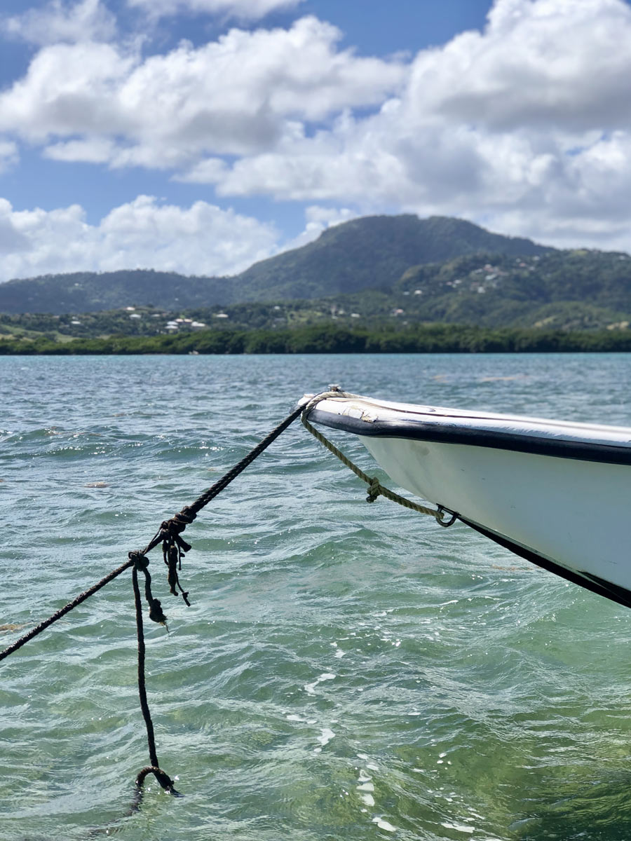 Bateau Anses d'Arlet