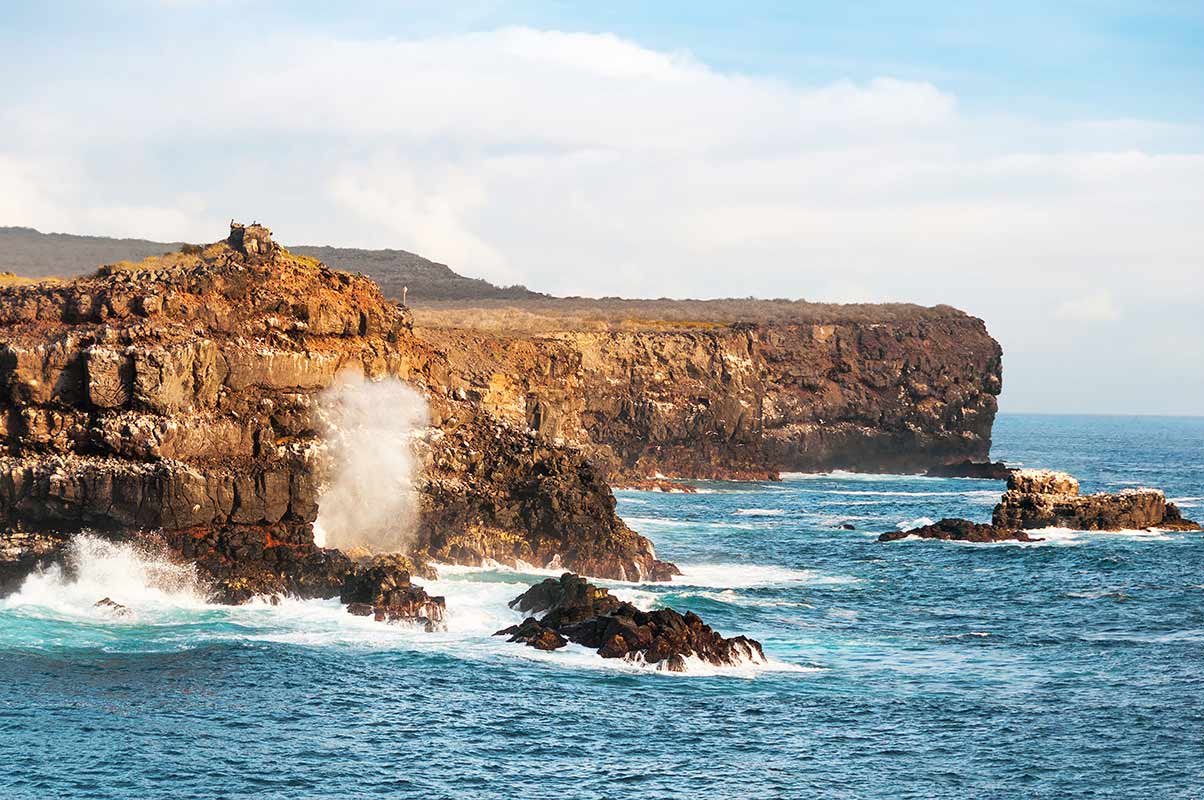 Falaise aux Galapagos