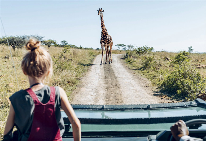 Safari Afrique du Sud