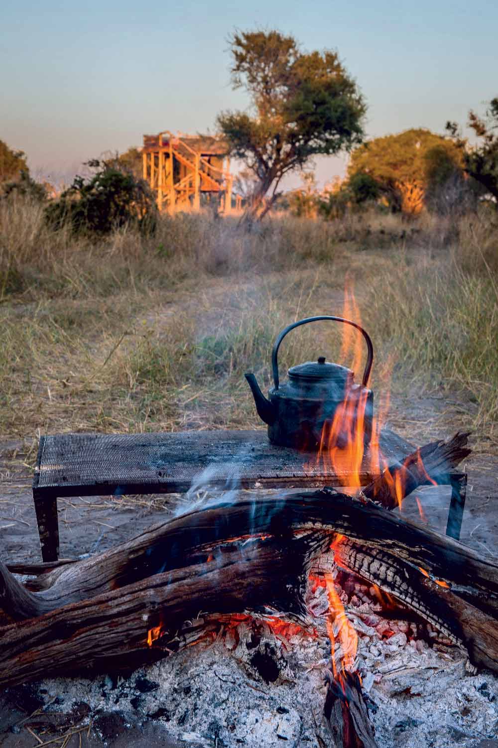 Lodge dans le Delta de l'okavango