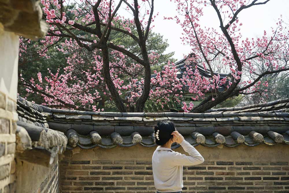 femme dans un jardin de Hanok