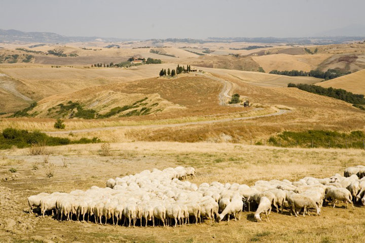 Joli village de Volterra en Toscane