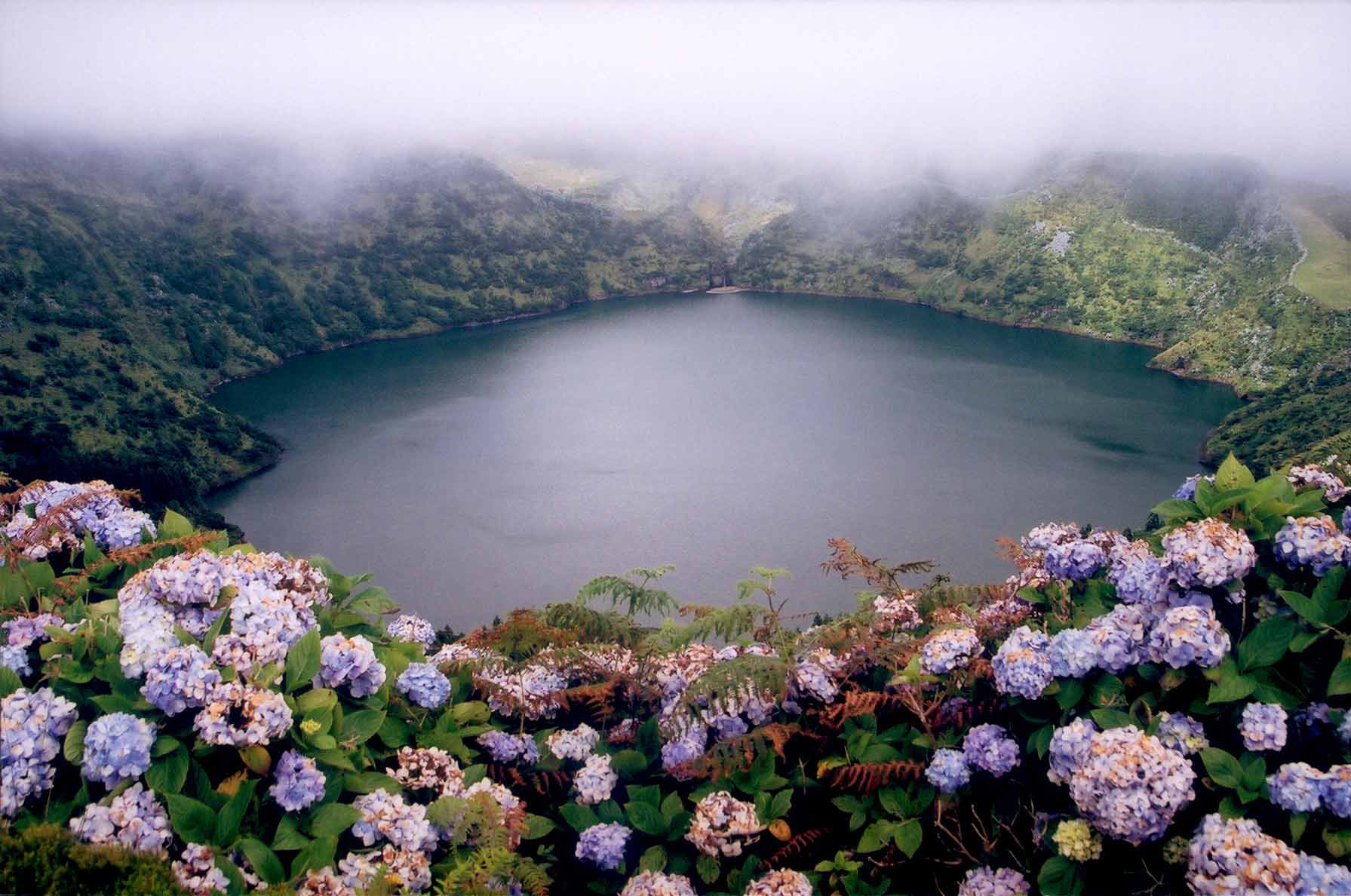 Lac à Flores