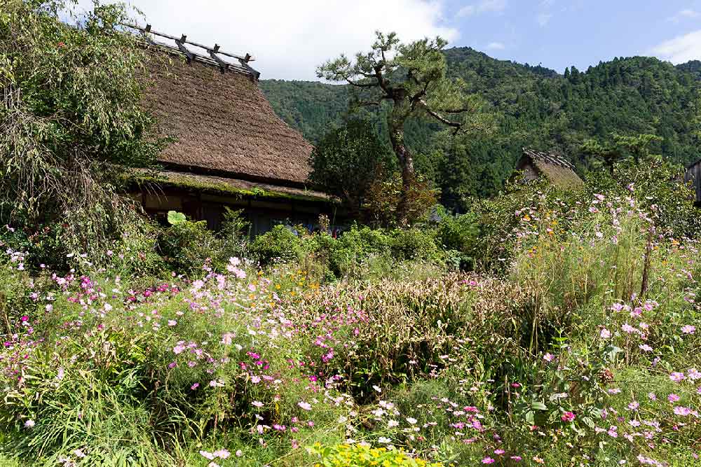 village de Miyama