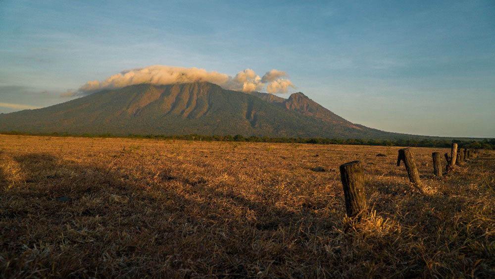 Baluran