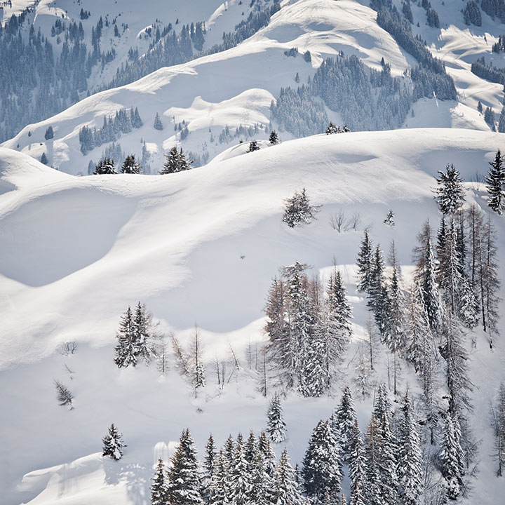 Naturhotel Waldklause - Tyrol