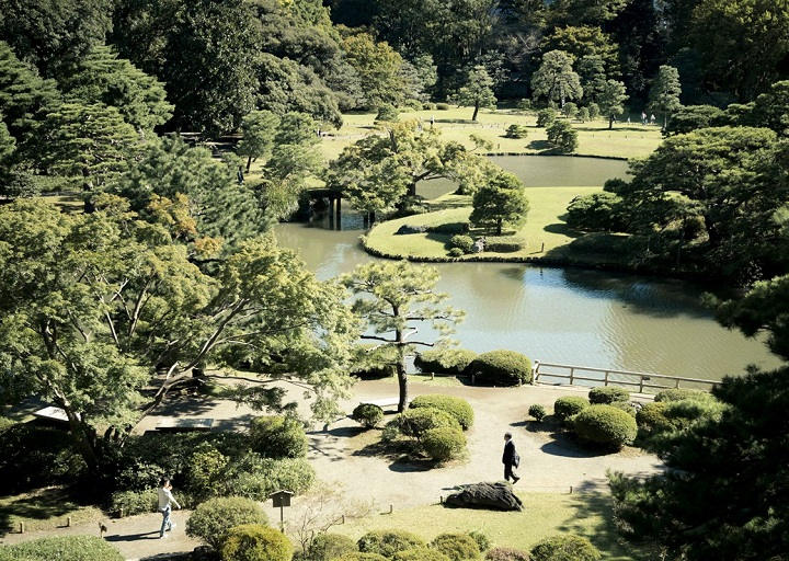 Se laisser gagner par la sérénité du pavillon taïwanais du parc Shinjuku-Gyoen.