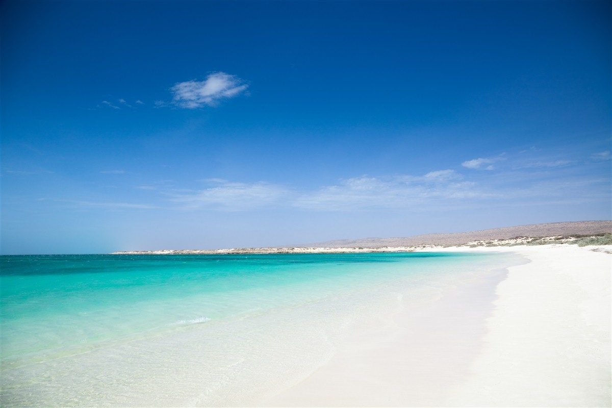 Parc marin de Ningaloo - Australie